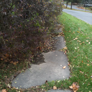 With the growing season here we now have many sidewalk and alleys with vegetation overgrowth issues that can and should be taken care of by you. This is not just […]