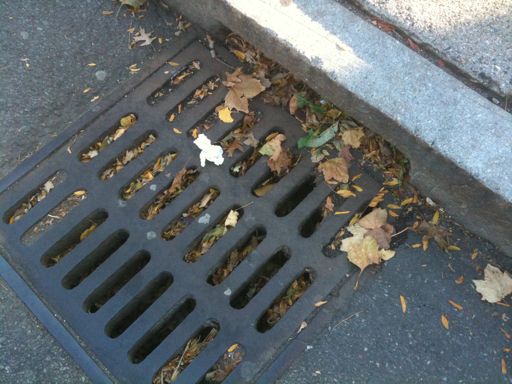 With fall here the tree leaves are starting to fall and will ultimately cause your storm drains to clog and the streets to flood unless they are routinely cleaned out […]