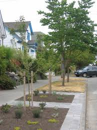 Studies have shown that neighborhoods with more trees have higher property values, neighborhood interaction, and lower crime rates. University Park has many planting strip trees, but there could be many […]